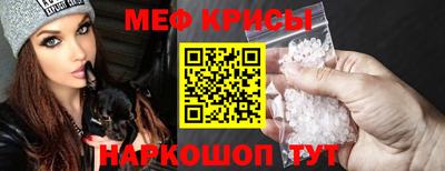стаф Гай