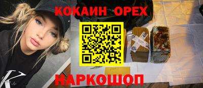 стаф Гай
