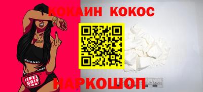 стаф Гай