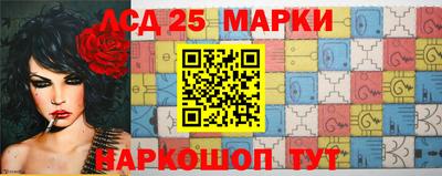 стаф Гай