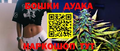 стаф Гай