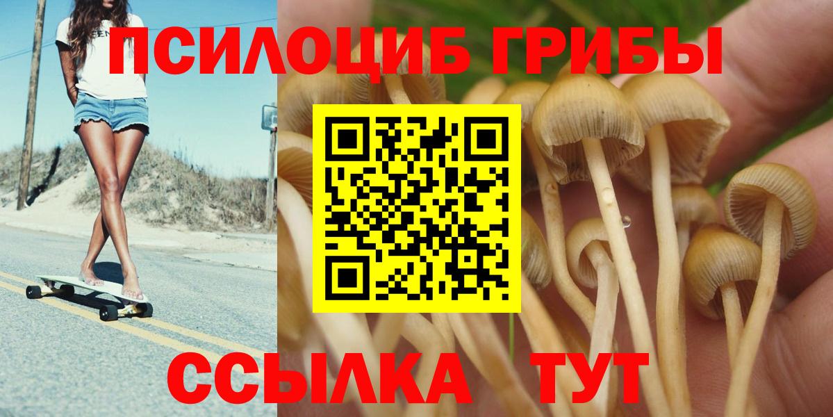 Псилоцибиновые грибы мухоморы  Псилоцибиновые грибы GOLDEN TEACHER  Сальск  Вход с VPN 